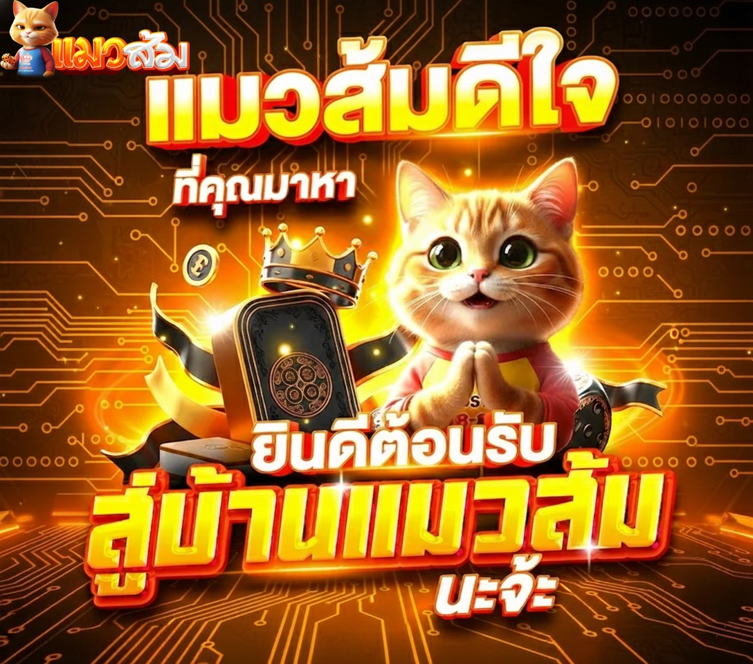 แมวส้ม สล็อต